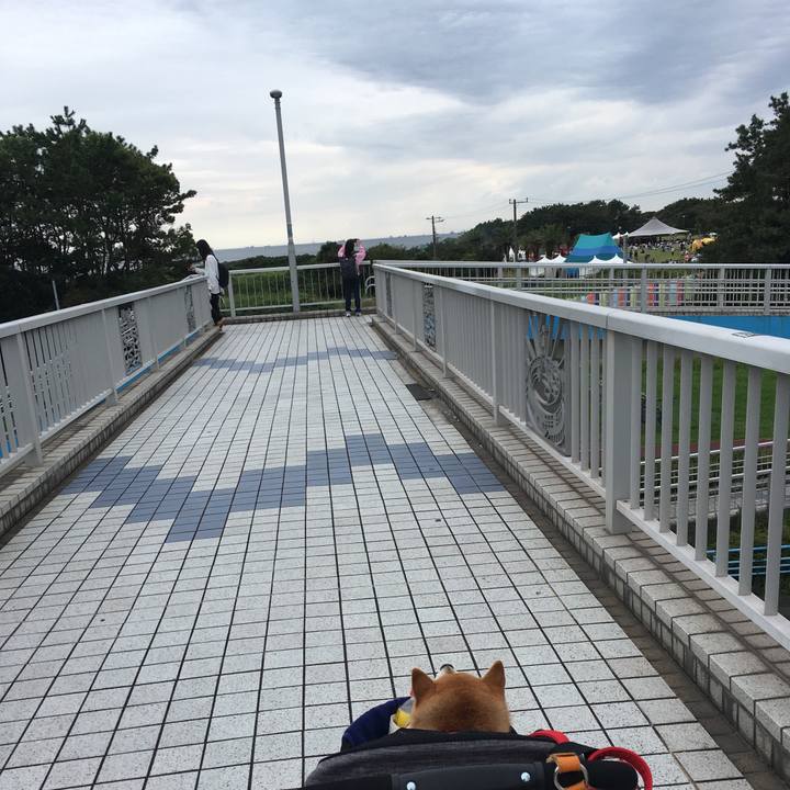 1cdf8e0f d635 4d5a 8b7c 2826325568f5 1569059981205