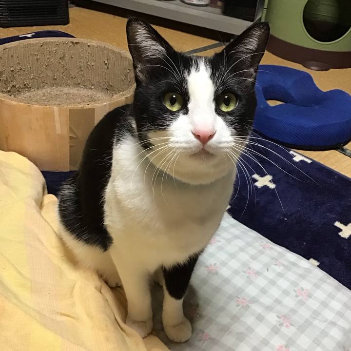 1cdfaf7e 0026 475b b443 fa83c63e968e 1738754896907