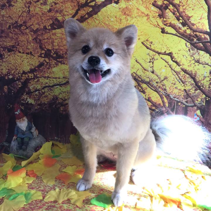 1cdfe710 a885 47e2 94d5 f9290d890bd6 1606009668604