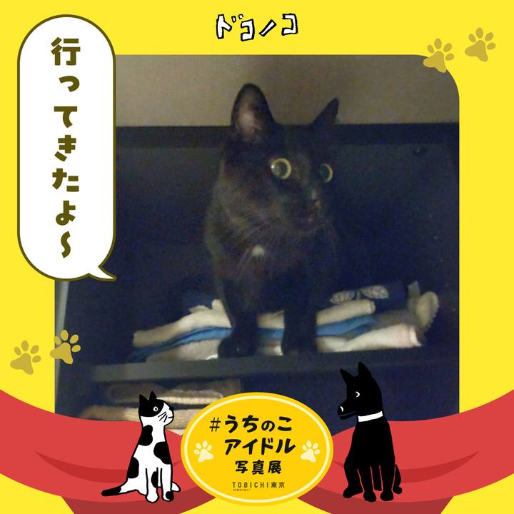 1cdfe844 49eb 4686 bb88 74bb65b55b2e 1761469914213