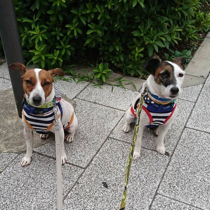 1ce02b5e ac8e 41cf 91ff 27f6d6b996a5 1561070437368