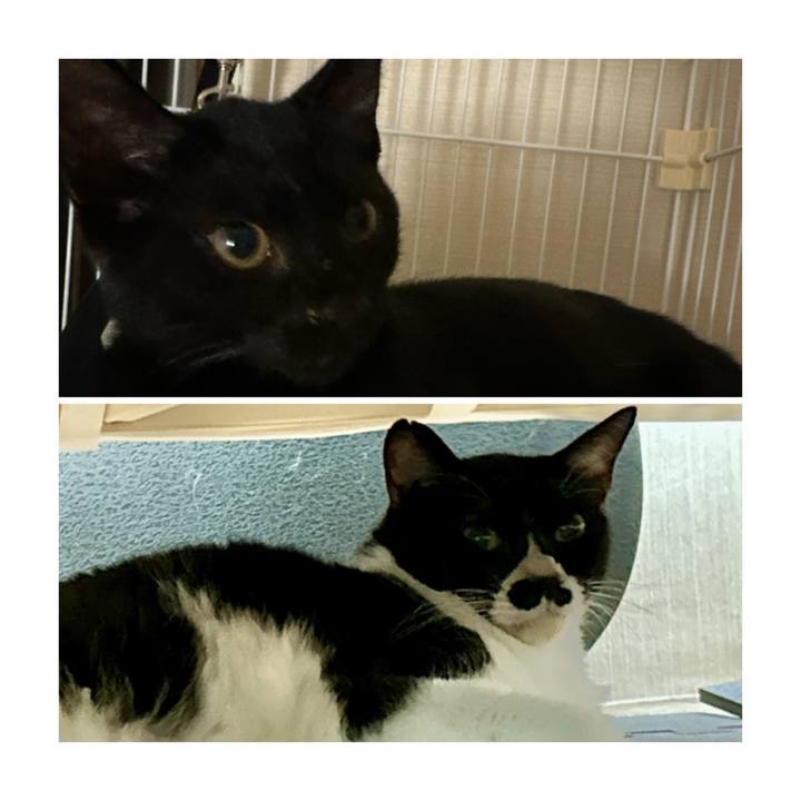 1ce059e3 5e4e 45c3 b487 a9ab3703e939 1723383283201