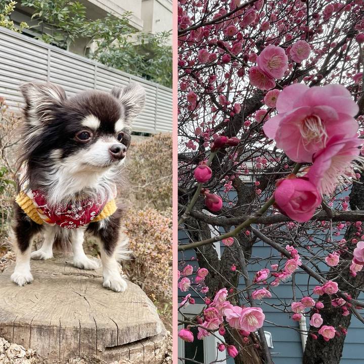 1ce06a62 9136 4c55 9211 b60eb2f7450c 1738217180746