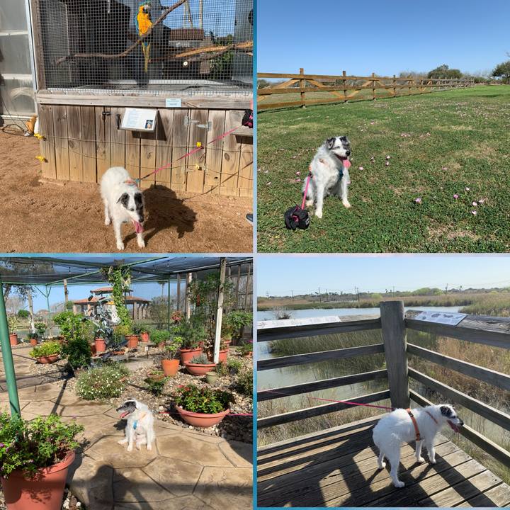 1ce0a034 fb75 49c5 b0be 46f398bed6a2 1648294938660