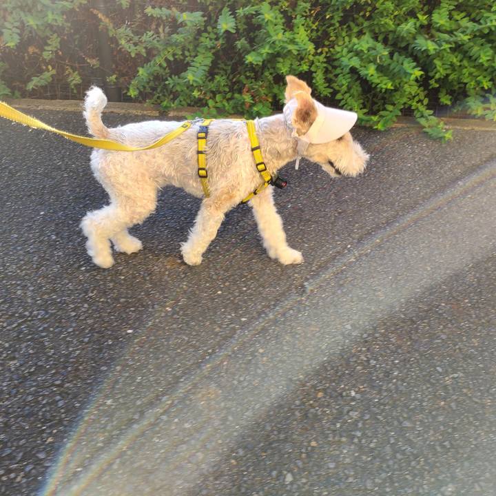 1ce0ab0b b4cb 4984 9a35 197aea3748d1 1663714692099