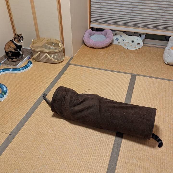 1ce0df30 f979 43db a8c3 411a05c95fe7 1746772624032