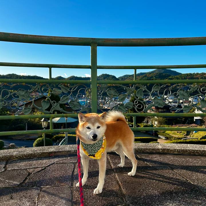 1ce0fa21 6ed6 4b1f 9843 cb425a6c06ef 1762167662844