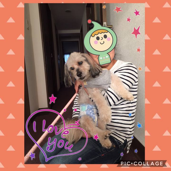 1ce118cb 43e0 44db 83de a680b4c5cd1a 1539162737654