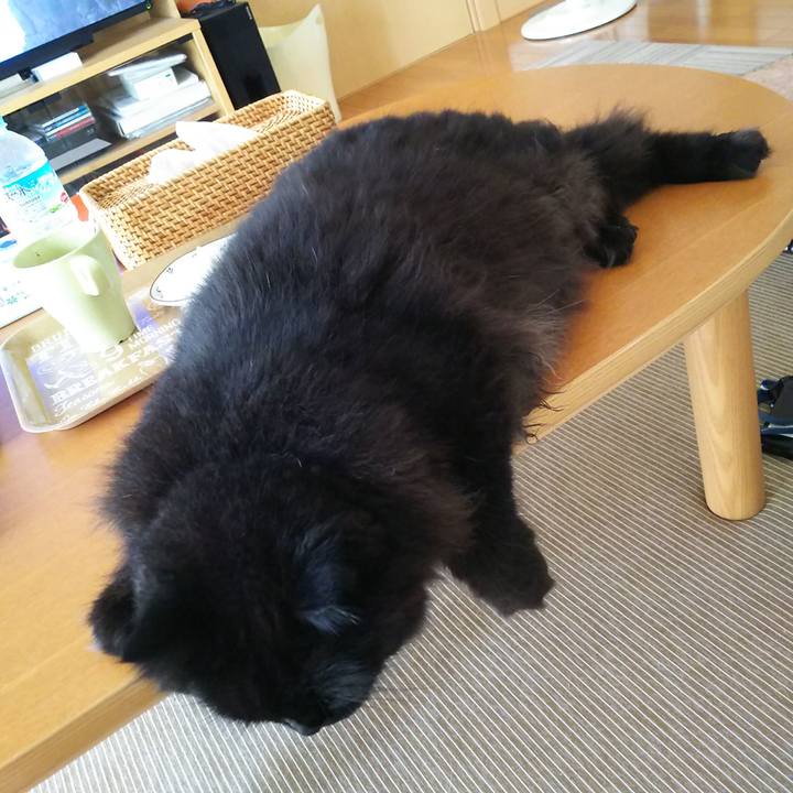 1ce122dd fa33 4caf 914d 70a5801bfba7 1565829675018