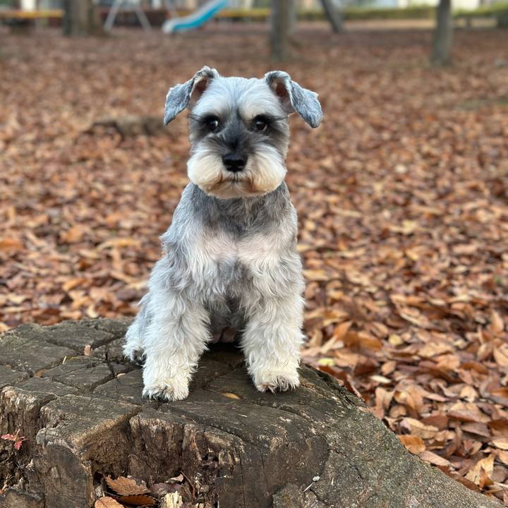 1ce1260d 2054 4633 b576 487c9feb9998 1670712549105