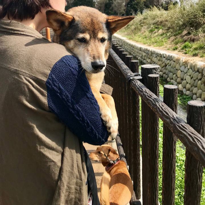 1ce12fc7 0a8c 4c4a 85c0 5ac2bcc02e4f 1521862323085