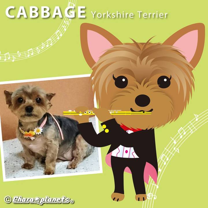 1ce14d4a 904b 4b24 89e5 6b0fcad3a2fc 1565317734824