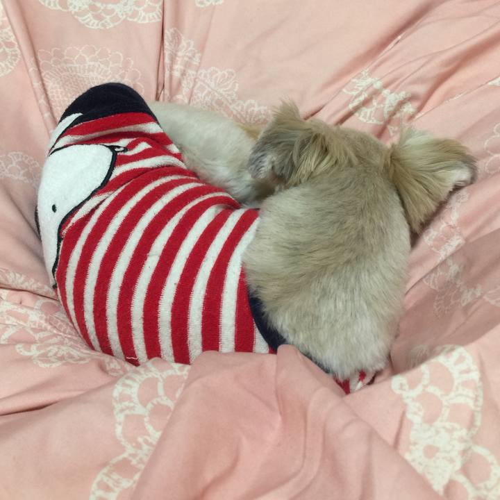 1ce18008 fb42 4cbb 9b10 613c1c3c722c 1543848261763