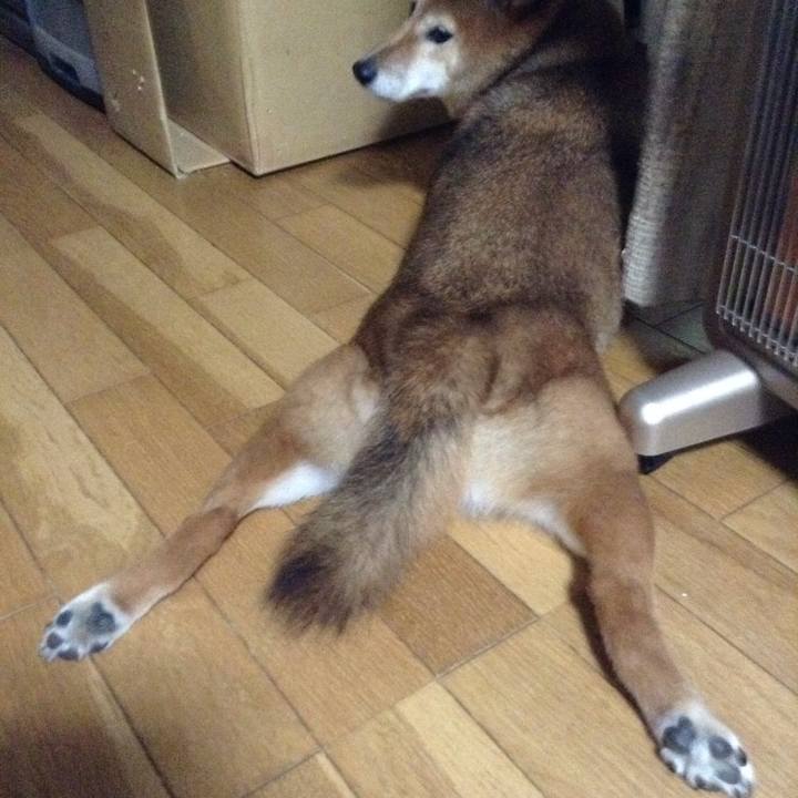 1ce1981b ed44 4ee2 b703 e6307a88cdcb 1531229428823