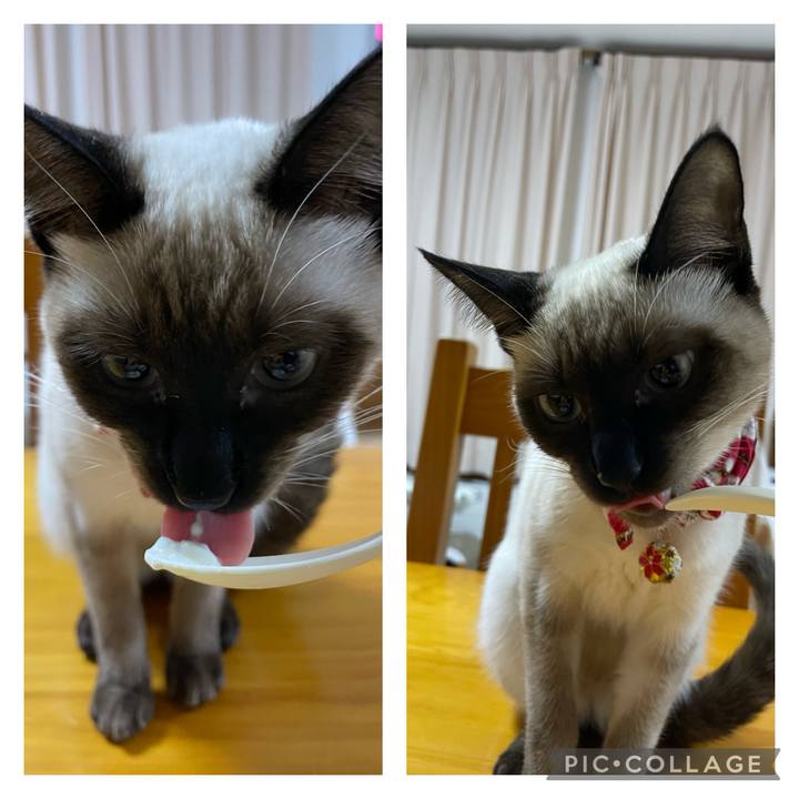 1ce1c4a3 f63f 4433 b98c 51f37bd76a67 1702586831853