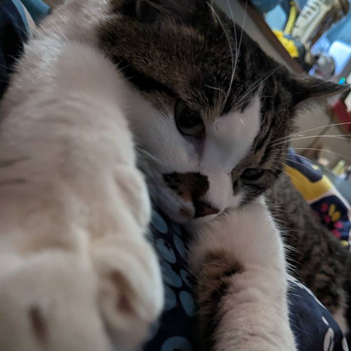 1ce205ee 622a 4f94 acf8 6e256d42a101 1687993859210