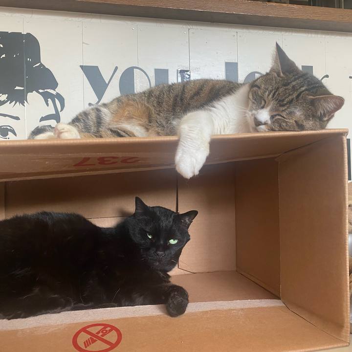 1ce20e6b acf7 4d7c a45a e04facb3a2e2 1714289205229