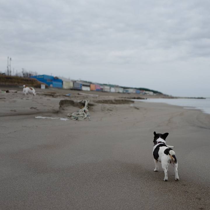 1ce214ad bca6 4655 8850 6beda760625c 1543811100495