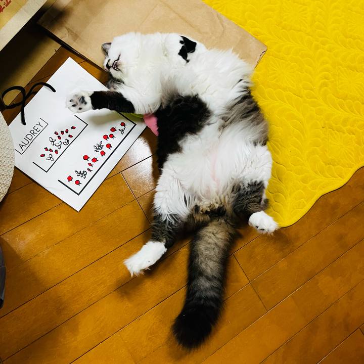 1ce239bb be74 4e97 be43 b55b5cf651bb 1746227419655