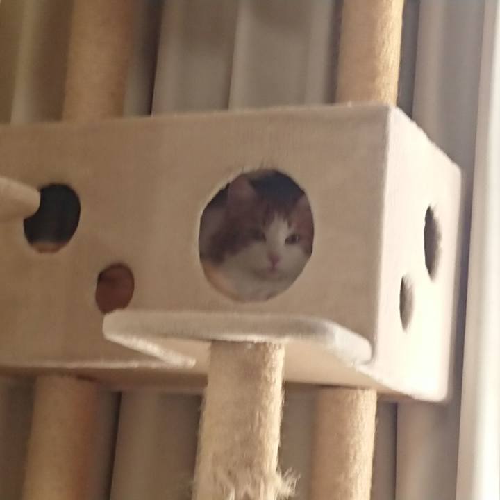 1ce24f57 d294 474e 8f0e 866e0ae150ab 1581130351125