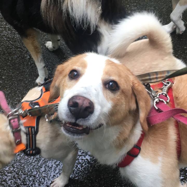 1ce28c35 cb4e 4b6d 8a73 cc899b525f0e 1508561447278