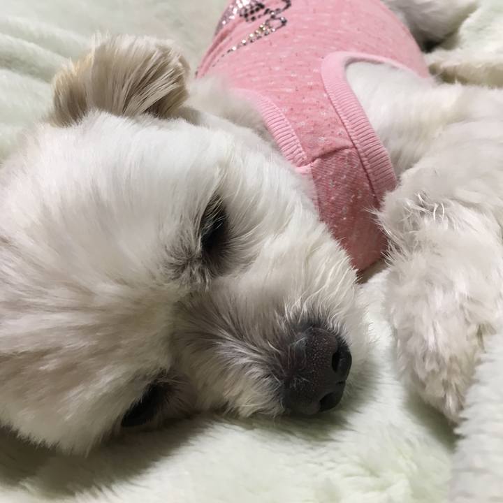 1ce2bc71 944d 449b a43f 40d6d788a6ef 1521291688608