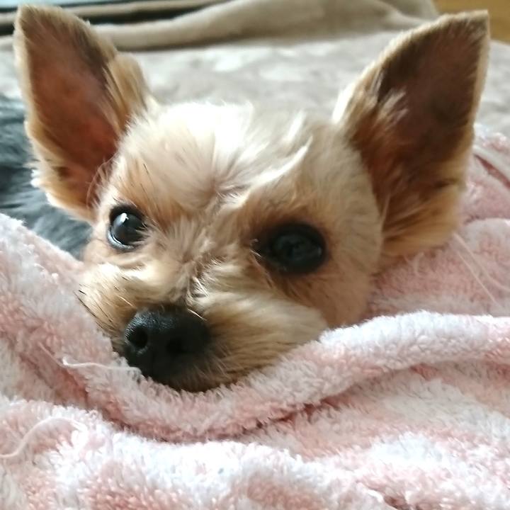 1ce2d4bf 5d30 4a6b bd48 d600f46d9ebb 1540729409649