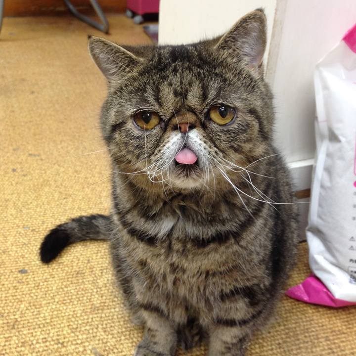 1ce2ee7a b41d 4109 88b4 83be4997182c 1645493416244