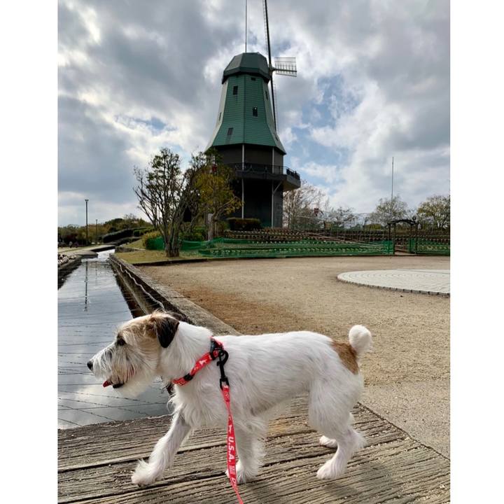 1ce2fe0a d424 4e2a b96e c5b0db2594dc 1668253283621