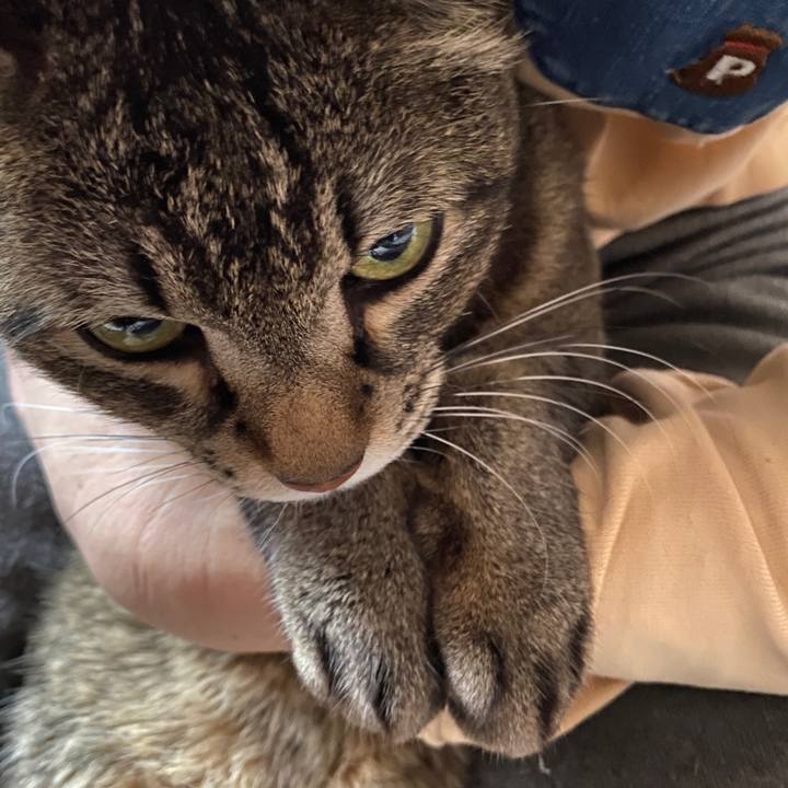 1ce3ac89 bc03 41df 80e5 a1f61dc3daee 1583047315832