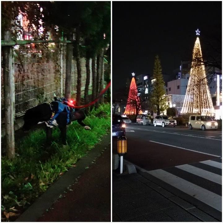 1ce420a4 3928 4447 80c0 a62d2f8440f0 1607684940533