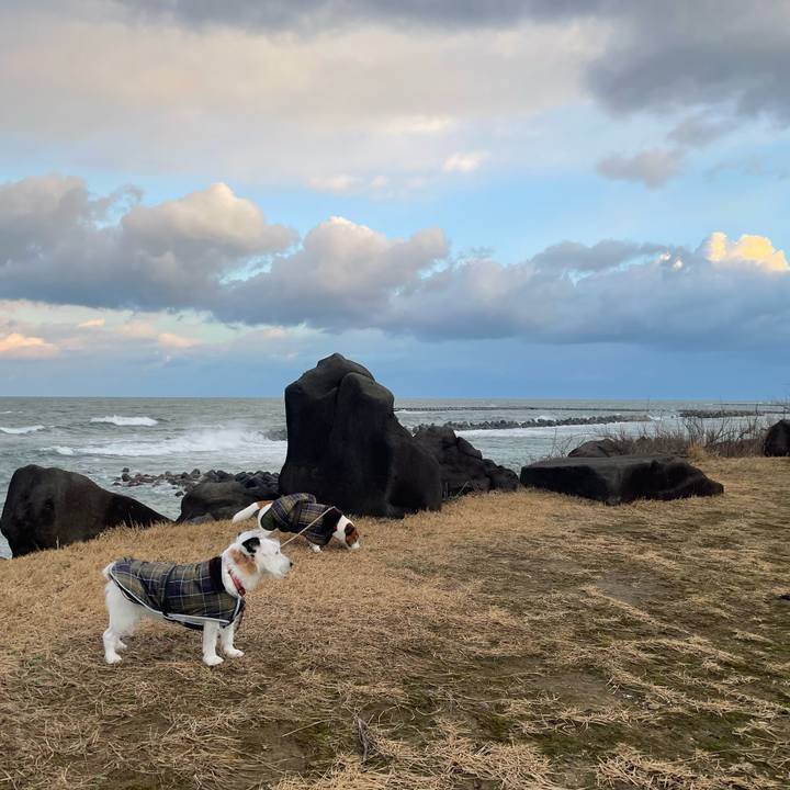 1ce42374 d49e 417c aa08 5a2f511fe5cf 1768520321598