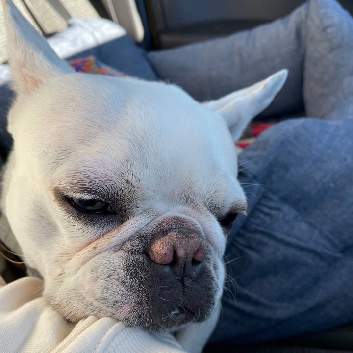 1ce427c9 bd8f 4d8a 87c2 c98209e94331 1767438826821