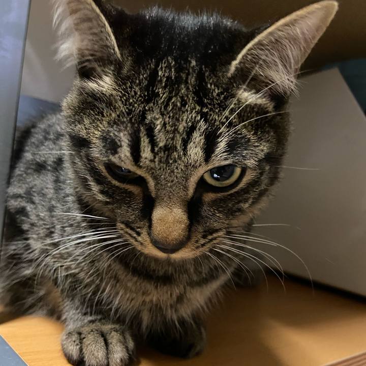 1ce44109 30a5 4c7f ac5d 2ee85d5099b9 1621517003616