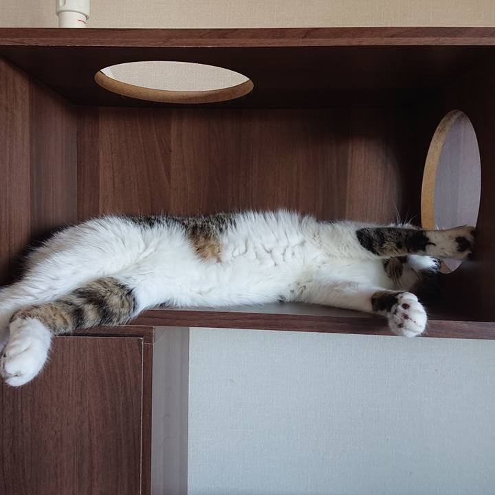 1ce482c2 1535 40d0 8eb1 fe62f9e7a3d8 1690421772904