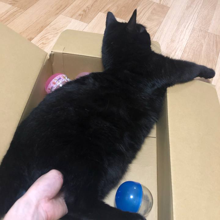 1ce4d83a 9397 48ff 99ed d39f263a0205 1564492567122