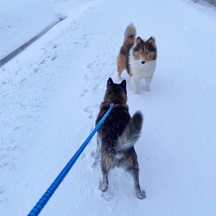 1ce52dff 9f22 4463 a0e0 481cf7d60fdb 1674599803254