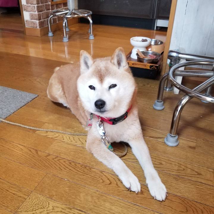 1ce54083 9ca6 4719 bfc6 0c258b2d31b8 1710113491608