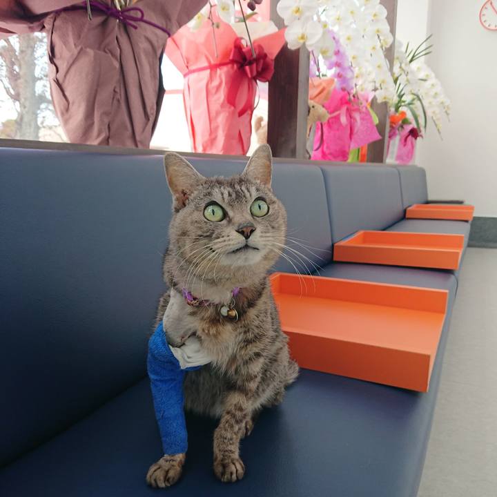 1ce54a36 b6cb 4d98 a93a 9eb8debcbfee 1587017168956