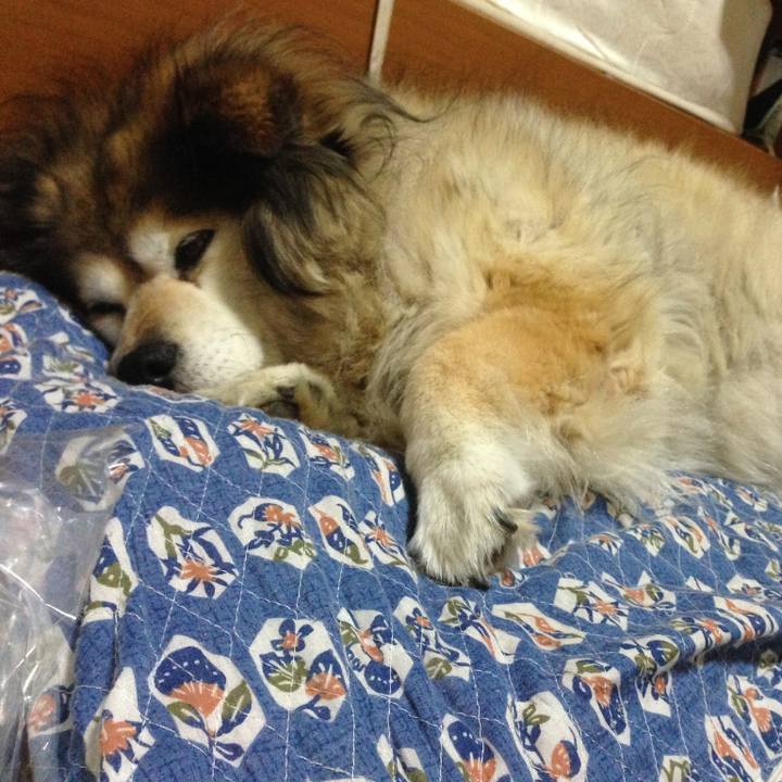 1ce56642 1603 45cf 94a7 b8f0c54006b5 1571730429422