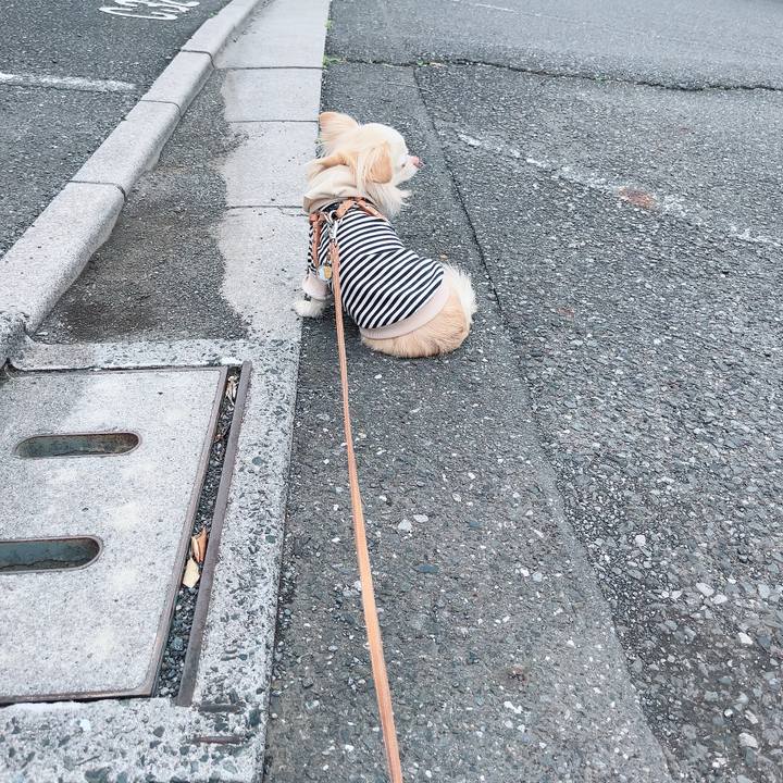 1ce59a4e b342 442d af9e fa4dc15ff0cb 1711606090739