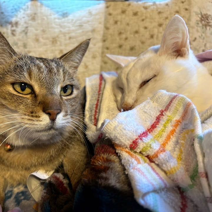 1ce59e21 9ab7 463c 85e4 ae3db727714d 1705051234992