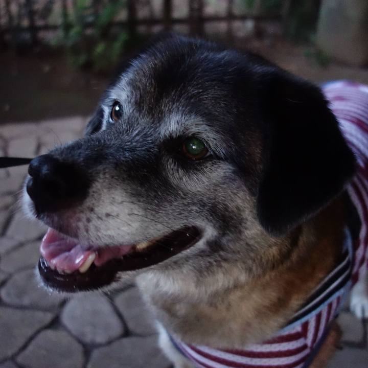 1ce5ac31 5cbe 43a0 b331 54ea0546314a 1642553642876