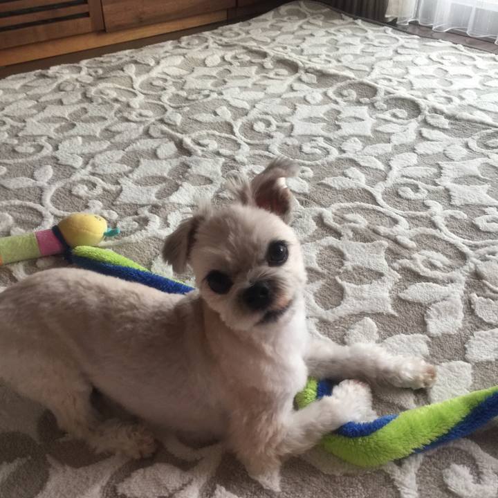 1ce5b699 2d18 4f32 a93a f715ac76fe4f 1540896763378