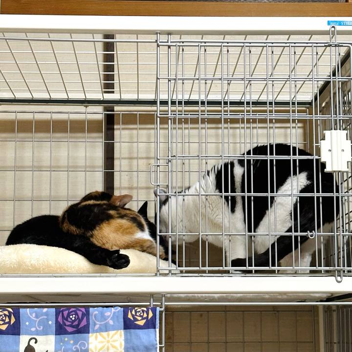 1ce5d41c 65fb 46e5 a3e8 e19afda57a1d 1678066850884