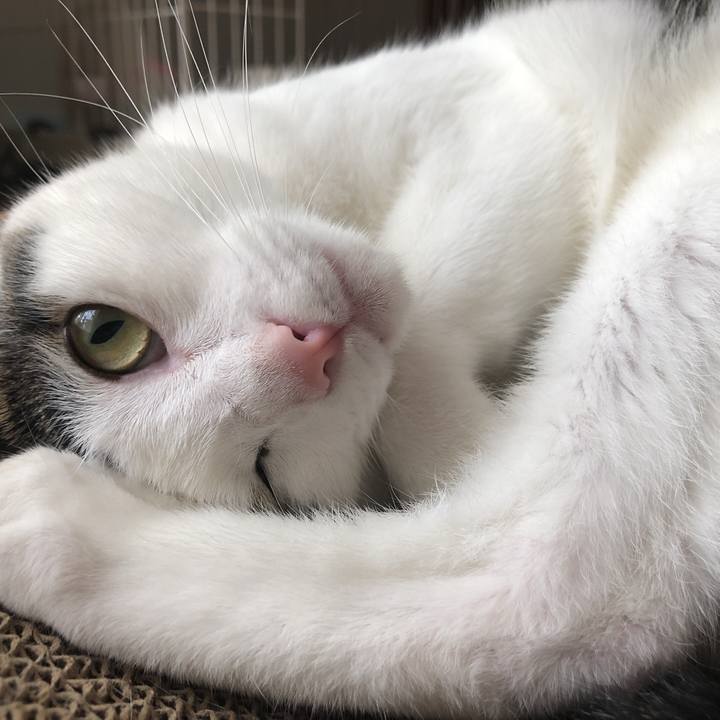 1ce5e38d 2b71 4244 8033 29d64bcb3dc0 1632876146752