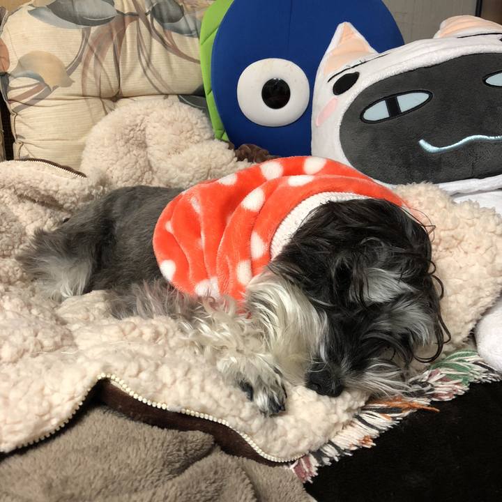 1ce5e8d0 baae 4dba 8e69 16a0c18eb0c7 1514725007185