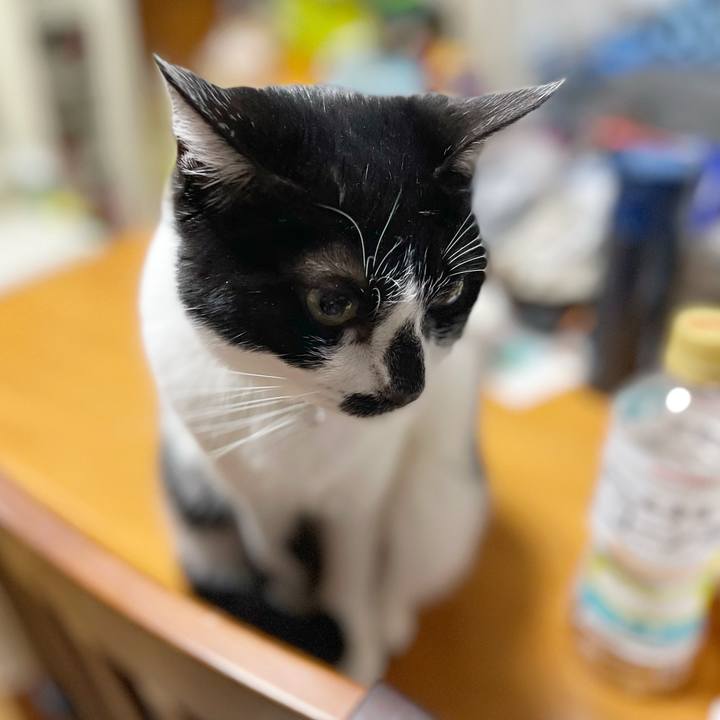 1ce5ec09 cae9 449e a5ed 69e405604ade 1768518072577