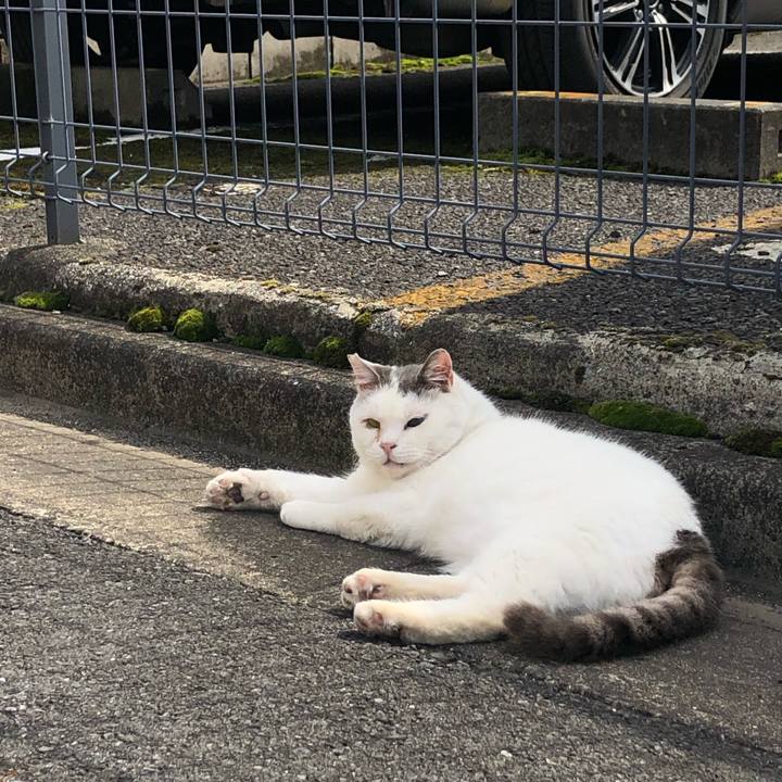 1ce61a49 0fa6 4a24 9357 34cffd9d5be1 1617093693031