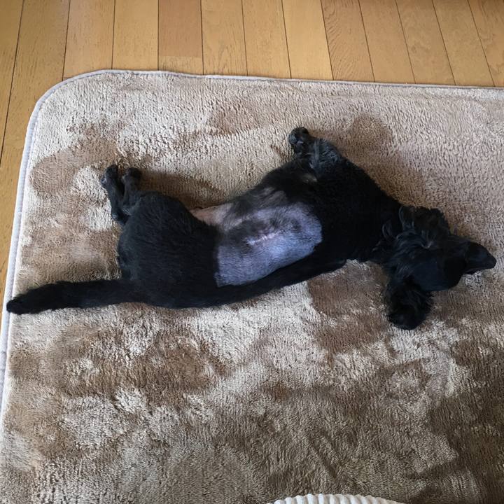 1ce63287 e70b 45c8 a2a0 4047d80d45d8 1510365194369